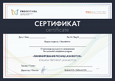 Сертификат на обучение наращивания ресниц картинка образец